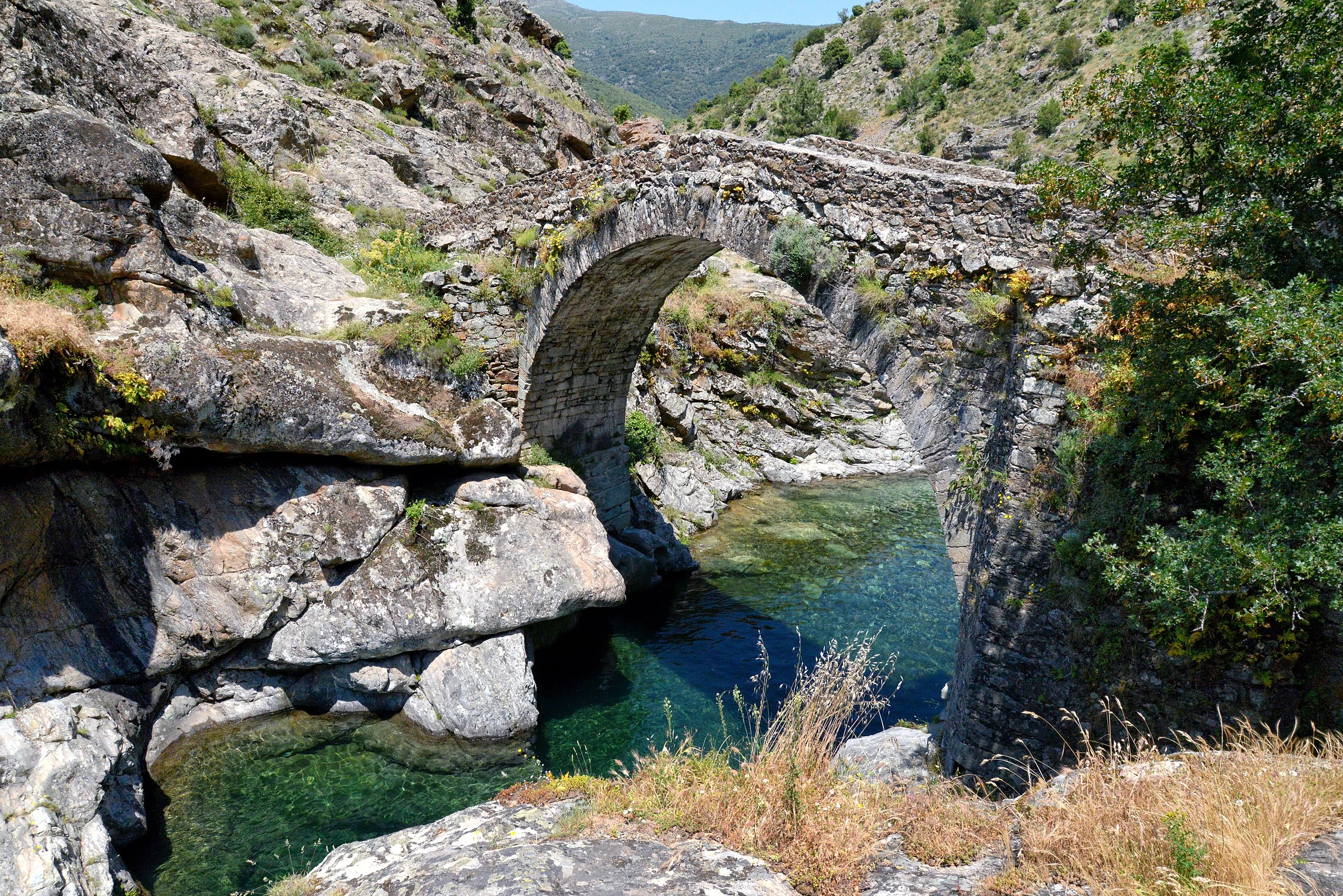 Ponte Genovese